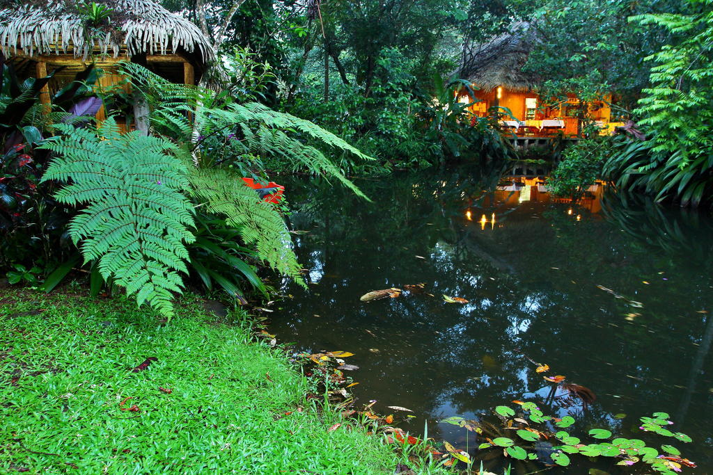 Hacienda La Isla Lodge Sarapiquí Eksteriør bilde