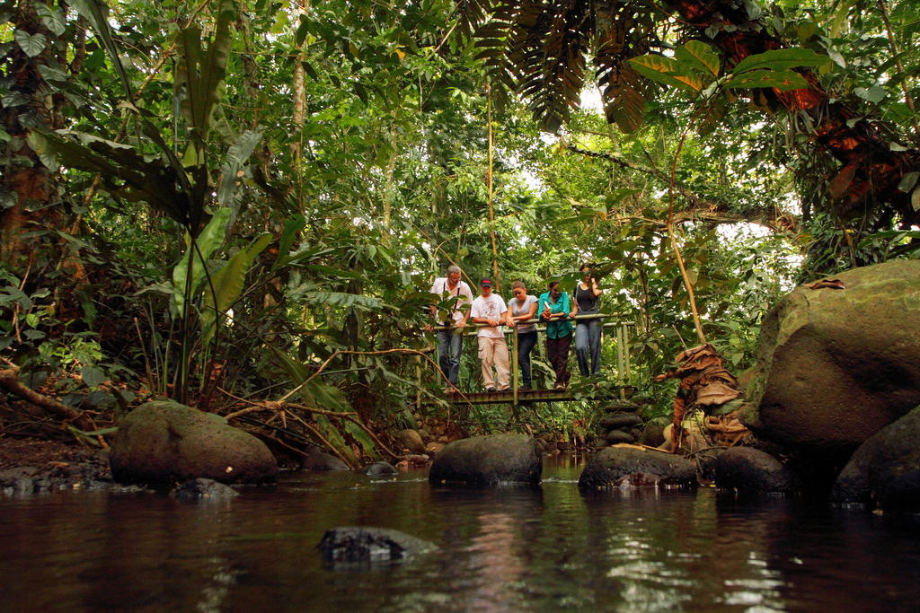Hacienda La Isla Lodge Sarapiquí Eksteriør bilde