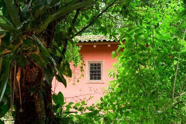 Hacienda La Isla Lodge Sarapiquí Eksteriør bilde